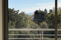 Maison LE LAVANDOU 4552200_1