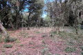 terrain ST PALAIS SUR MER Sud-Ouest Suzac 4551995_2