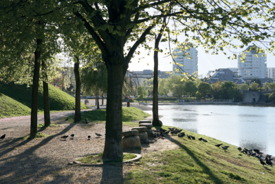 Seine-Saint-Denis-pict-immo-neuf