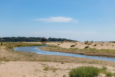 Loire-Atlantique-pict-immo-neuf