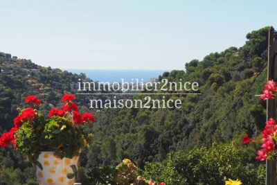 Maison à vendre maisons en pierre a vendre dans les alpes maritimes 