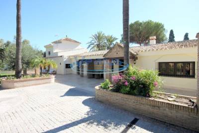 Maison à louer à SAN PEDRO DE ALCANTARA  - 13 pièces - 390 m² 