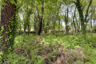 terrain à vendre à ARÈS   - 572 m² 