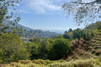 terrain &agrave; vendre &agrave; STE-AGNÈS Beuil  - 8551 m&sup2; 