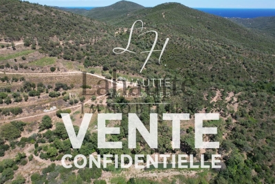 Maison à vendre plafond cannes 