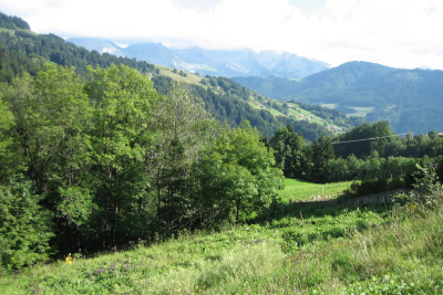 terrain à vendre à LE GRAND-BORNAND Saint-Martin-Bellevue  - 773 m² 