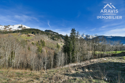terrain &agrave; vendre &agrave; LE GRAND-BORNAND   - 773 m&sup2; 