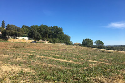 terrain à vendre à Cruviers-Lascours   315 m² 