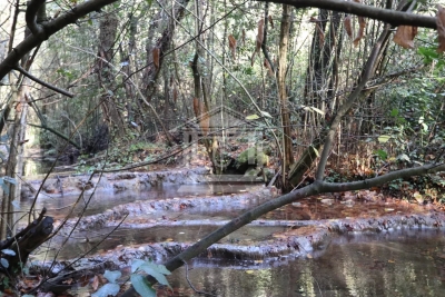 Maison à vendre a terminer cannes