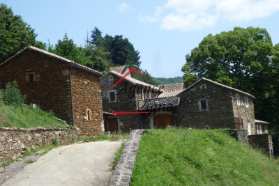 Maison à vendre à AUJAC  - 12 pièces - 250 m² 