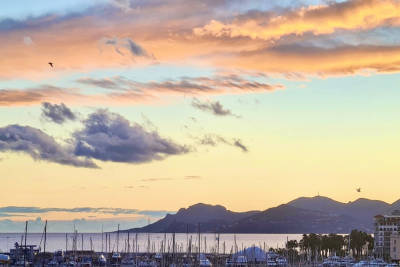 Appartement &agrave; vendre banane centre cannes 