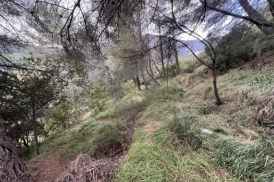 terrain &agrave; vendre terrain non constructible 