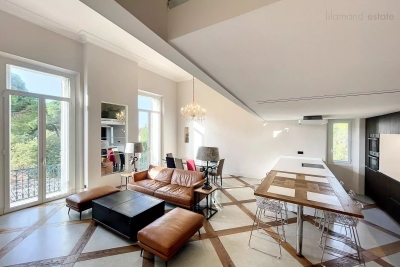 Appartement à vendre plafond cannes 