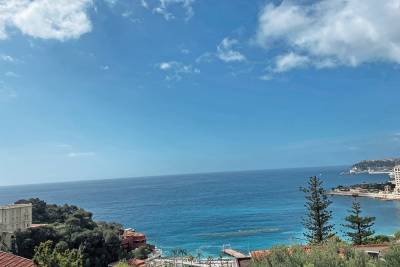 Maison &agrave; vendre &agrave; Roquebrune-Cap-Martin  - 8 pi&egrave;ces 511 m&sup2; 