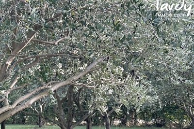 Maison à vendre hangar aix en provence 