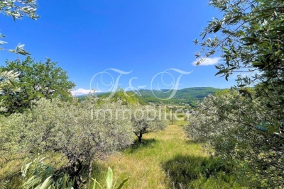 terrain à vendre à APT   - 1455 m² 