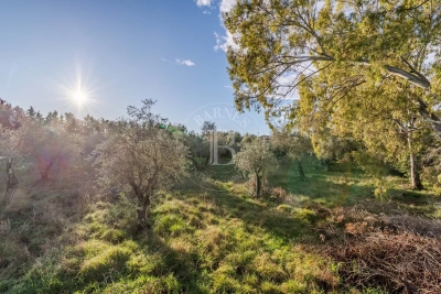 Building plot for sale in VALBONNE Carabacel  - 2000 m² 