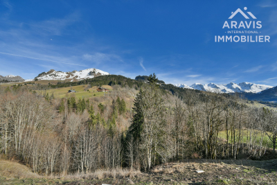 terrain &agrave; vendre &agrave; LE GRAND-BORNAND   - 2402 m&sup2; 