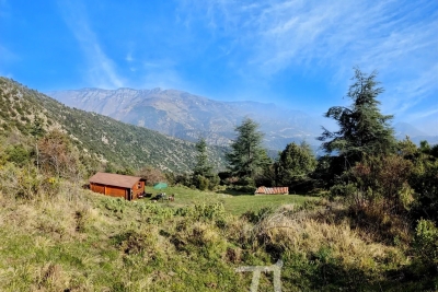 terrain à vendre immobilier breil roya