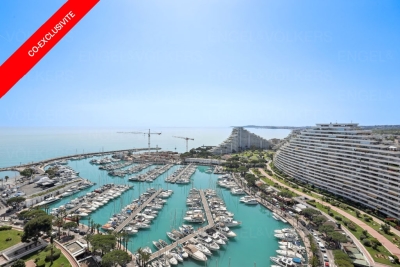 Appartement à vendre front de mer vue mer villeneuve loubet