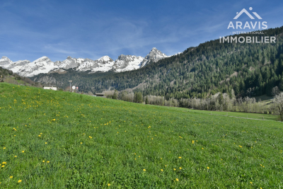 terrain &agrave; vendre &agrave; LE GRAND-BORNAND   - 1101 m&sup2; 