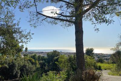 terrain &agrave; vendre &agrave; CAGNES-SUR-MER Rigaud  - 706 m&sup2; 