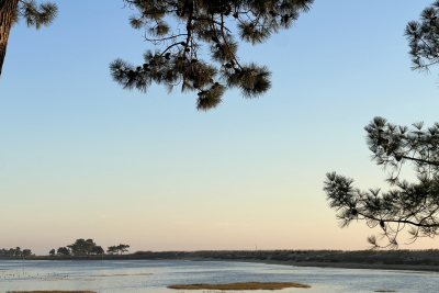 Maison à vendre à CAP-FERRET  - 8 pièces - 210 m² 