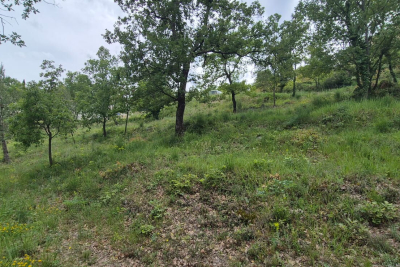 terrain &agrave; vendre foret var 