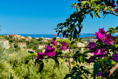 Maison à vendre terrain pied dans l eau var
