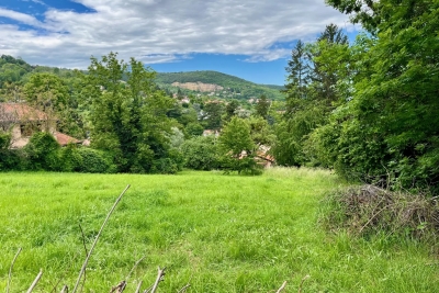 terrain à vendre à ST-ROMAIN-AU-MONT-D'OR   - 1704 m² 