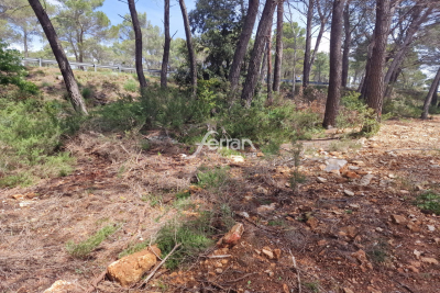 terrain à vendre agence ferran salernes 