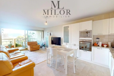 Appartement à vendre appartement vue mer la piece d eau