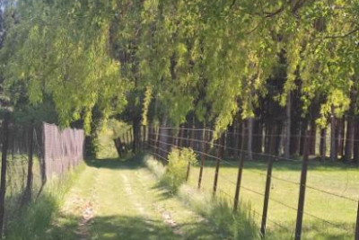 Maison à vendre à VEYNES  - 7 pièces - 230 m² 