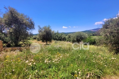 terrain à vendre à OPIO Laval  - 2518 m² 