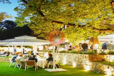 Bien à vendre sans charge grasse 