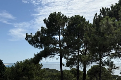 Maison à vendre à PYLA-SUR-MER  - 7 pièces - 190 m² 