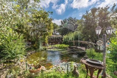 Maison à vendre piscine box cheval 