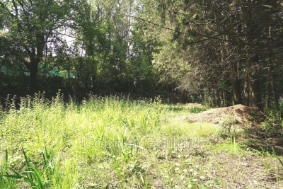 terrain &agrave; vendre &agrave; PEYMEINADE Rigaud  - 1102 m&sup2; 