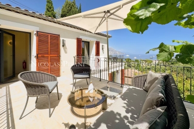 Villa in Saint-Jean-Cap-Ferrat for rental , Photo 13