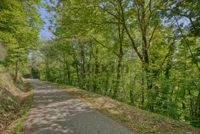 terrain à vendre à VILLEFORT   - 1350 m² 