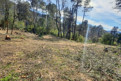 terrain &agrave; vendre 55000 