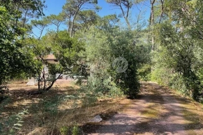 Maison à vendre à LA TESTE-DE-BUCH Saint-Seurin-Fondaudege 3 - 4 pièces - 122 m² 