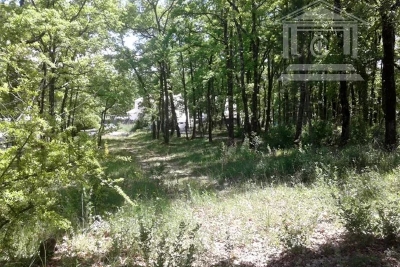 terrain &agrave; vendre &agrave; CALLIAN   - 2219 m&sup2; 