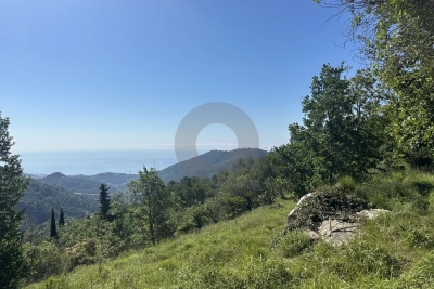 Building plot for sale in GORBIO Carabacel  - 16170 m² 
