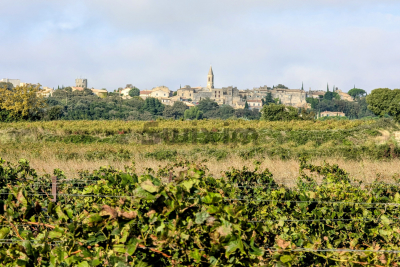 terrain à vendre à CASTILLON-DU-GARD   - 3753 m² 