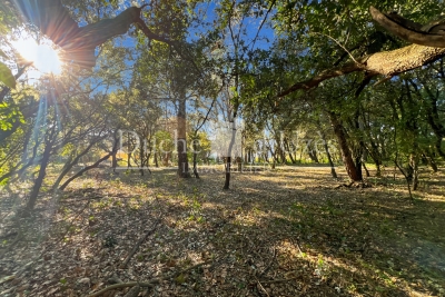 terrain à vendre à UZÈS    