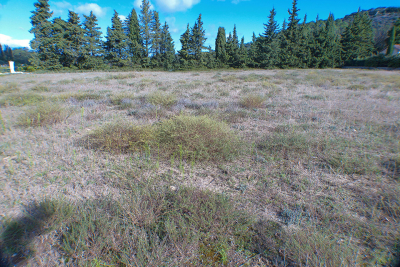 terrain à vendre à ST-PAUL-TROIS-CHÂTEAUX   - 1300 m² 