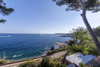 Maison à vendre piscine terrain antibes