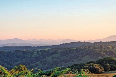 House for sale in BAYONNE  - 5 rooms - 320 m&sup2; 