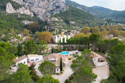 Maison à vendre à FONTAINE-DE-VAUCLUSE Montfavet Pericentre - 25 pièces - 420 m² 